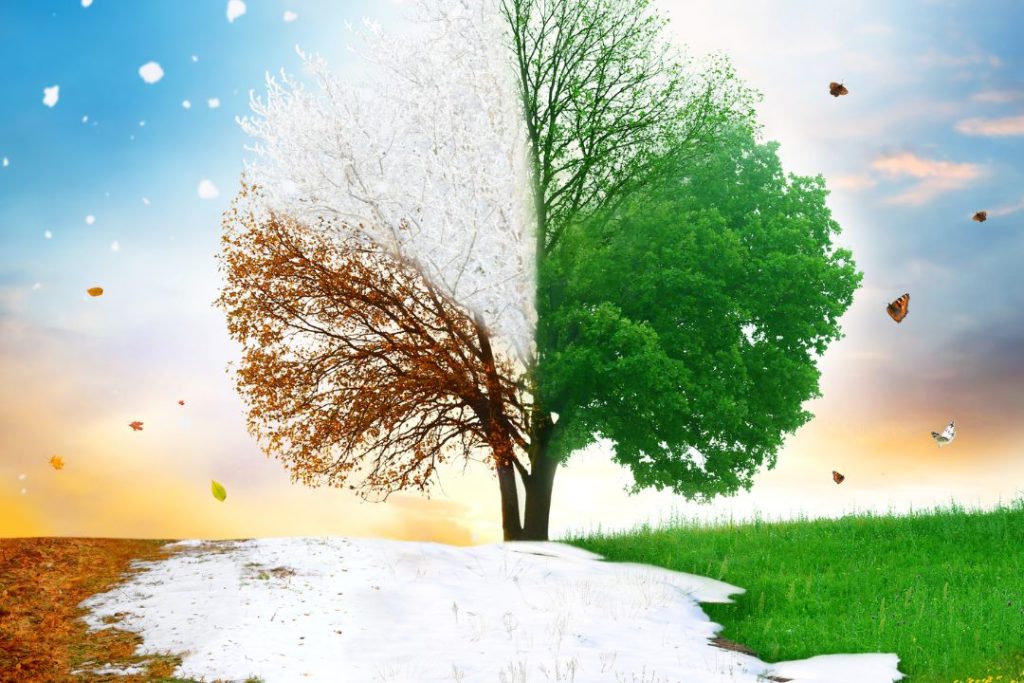 The Science of Seasons: Understanding Why We Experience Different Weather